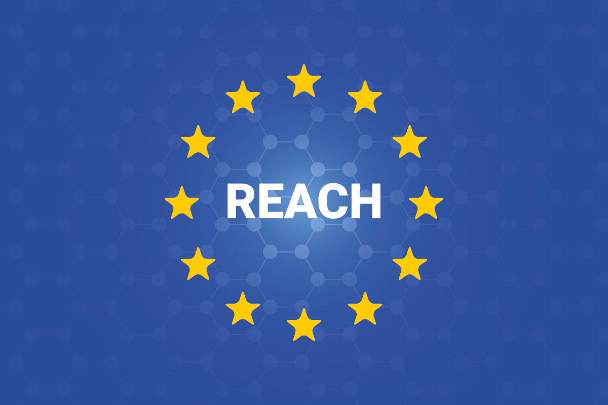REACH NEDİR?